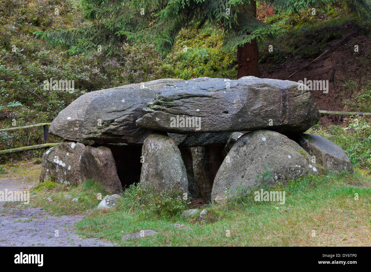 Seven Stone Houses / Sieben Steinhäuser, Neolithic dolmens at Bergen, Lüneburg Heath / Lunenburg Heathland, Saxony, Germany Stock Photo