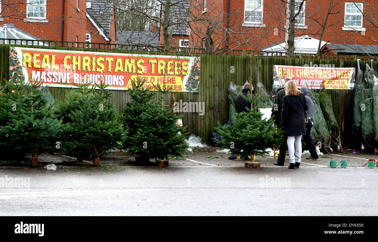 It s Beginning To Look A Lot Like... Christams ?Festive shoppers don t