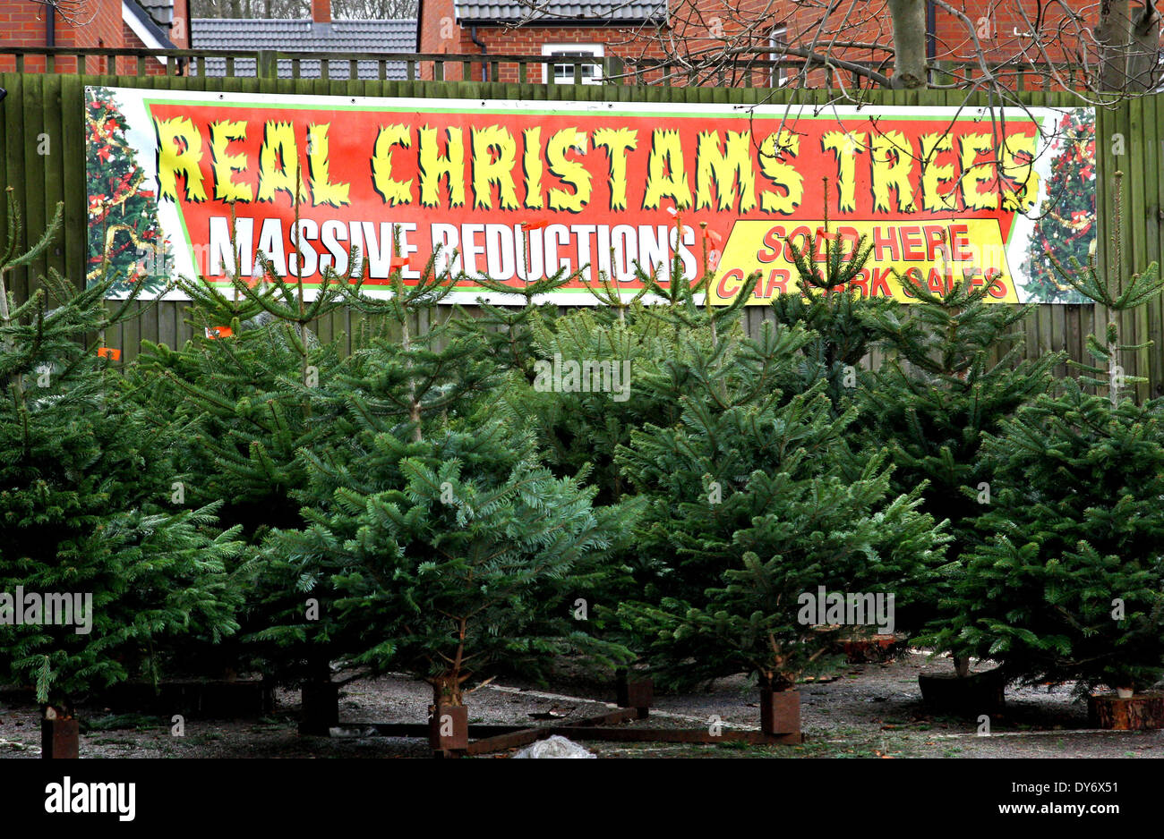 It s Beginning To Look A Lot Like... Christams ?Festive shoppers don t