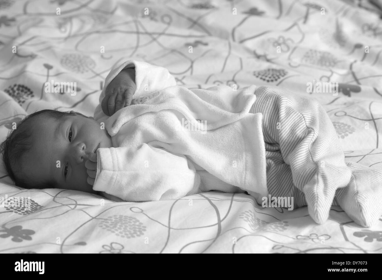 Black and white portrait of a newborn baby girl Stock Photo Alamy