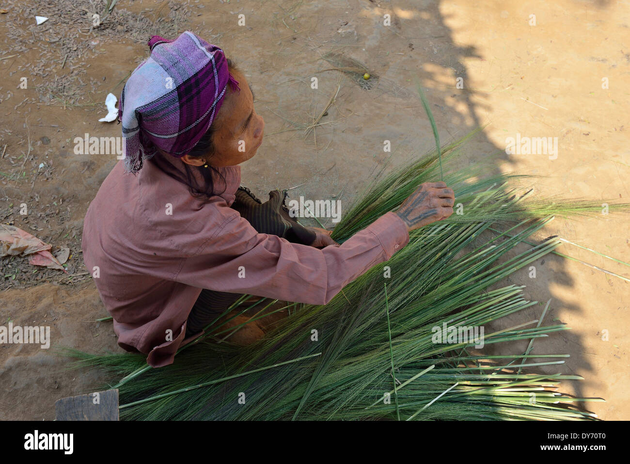 Female Hmong tribe villager sitting on the ground with broom grass (Thysanolaena maxima)to make brushes alongside the River Mekong,Laos,Southeast Asia Stock Photo