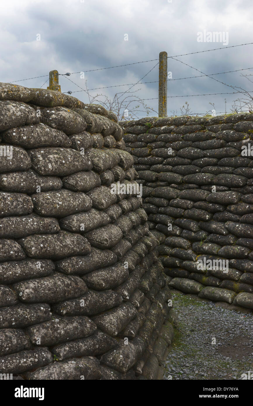 World War I trench in Flanders, near Diksmuide. Stock Photo