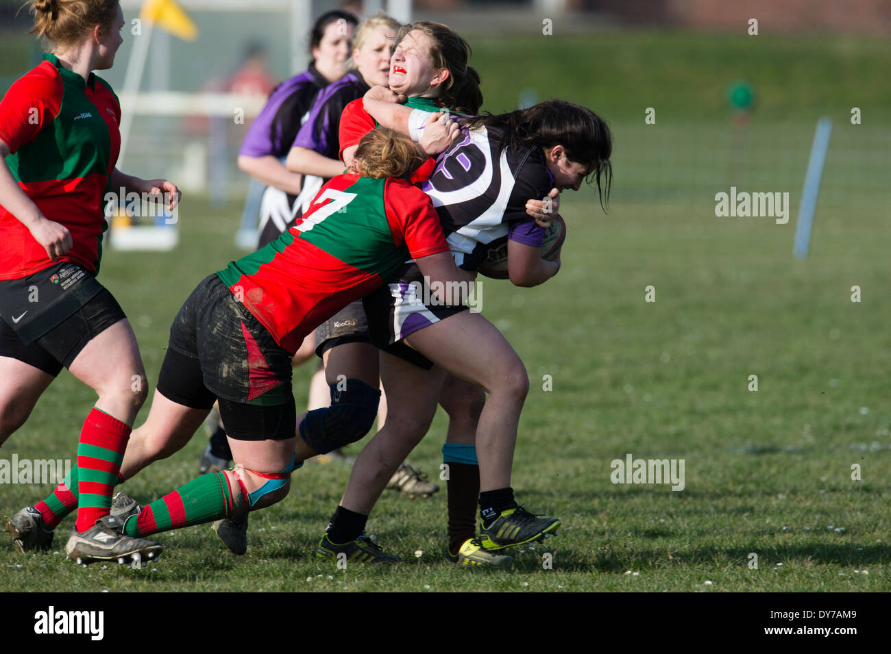 Aberystwyth university women (in red and green) playing rugby against Trinity St Davids university, Wales UK Stock Photo