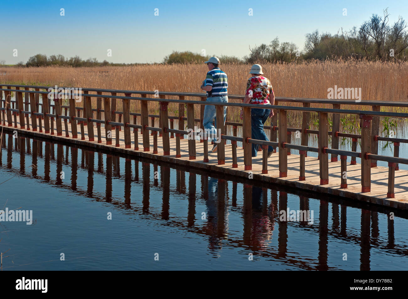 Tablas de Daimiel National Park wetland and boardwalk, Ciudad Realprovince, Region of