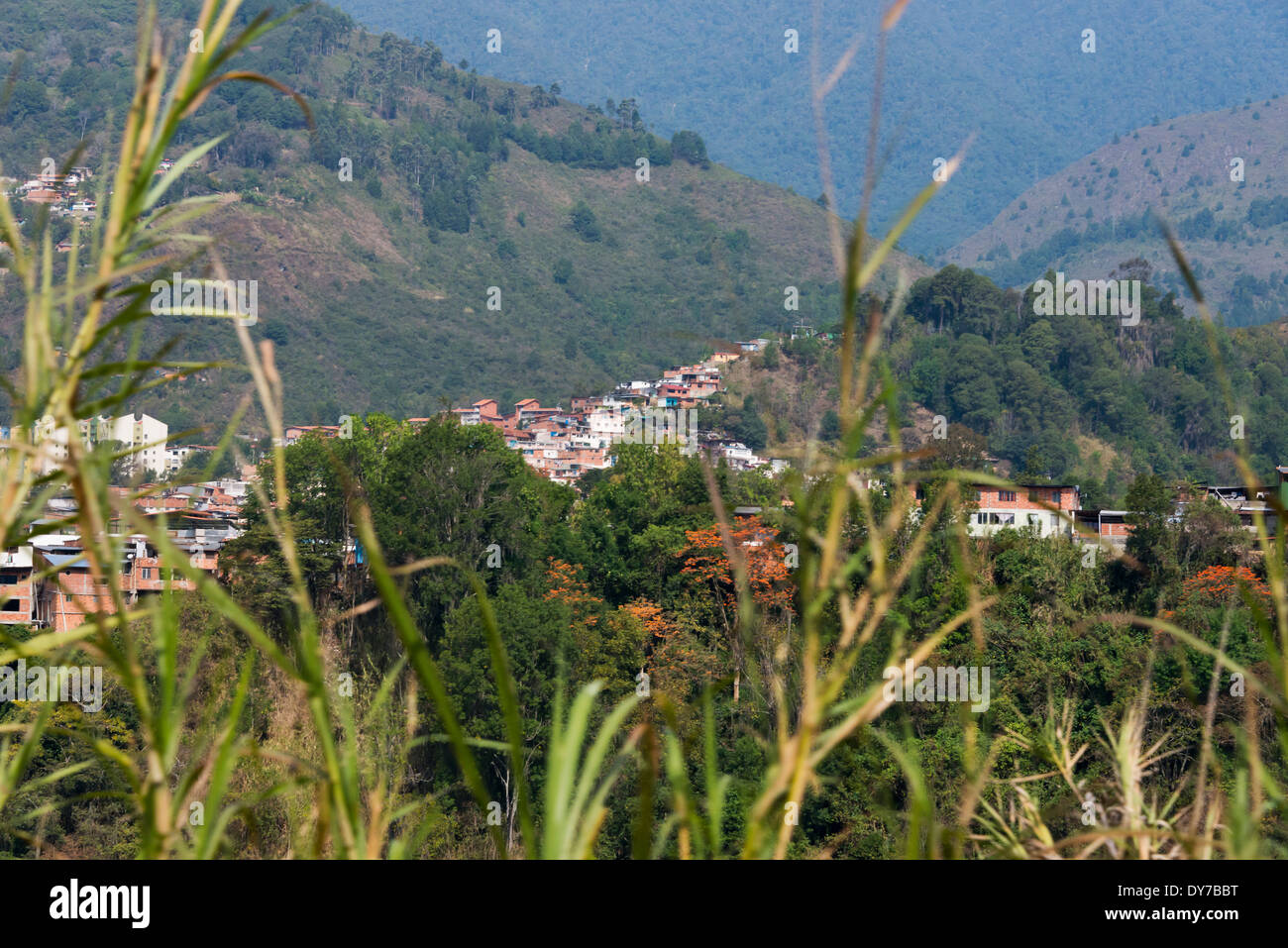 Houses on the hillside, Merida, Merida State, Venezuela Stock Photo