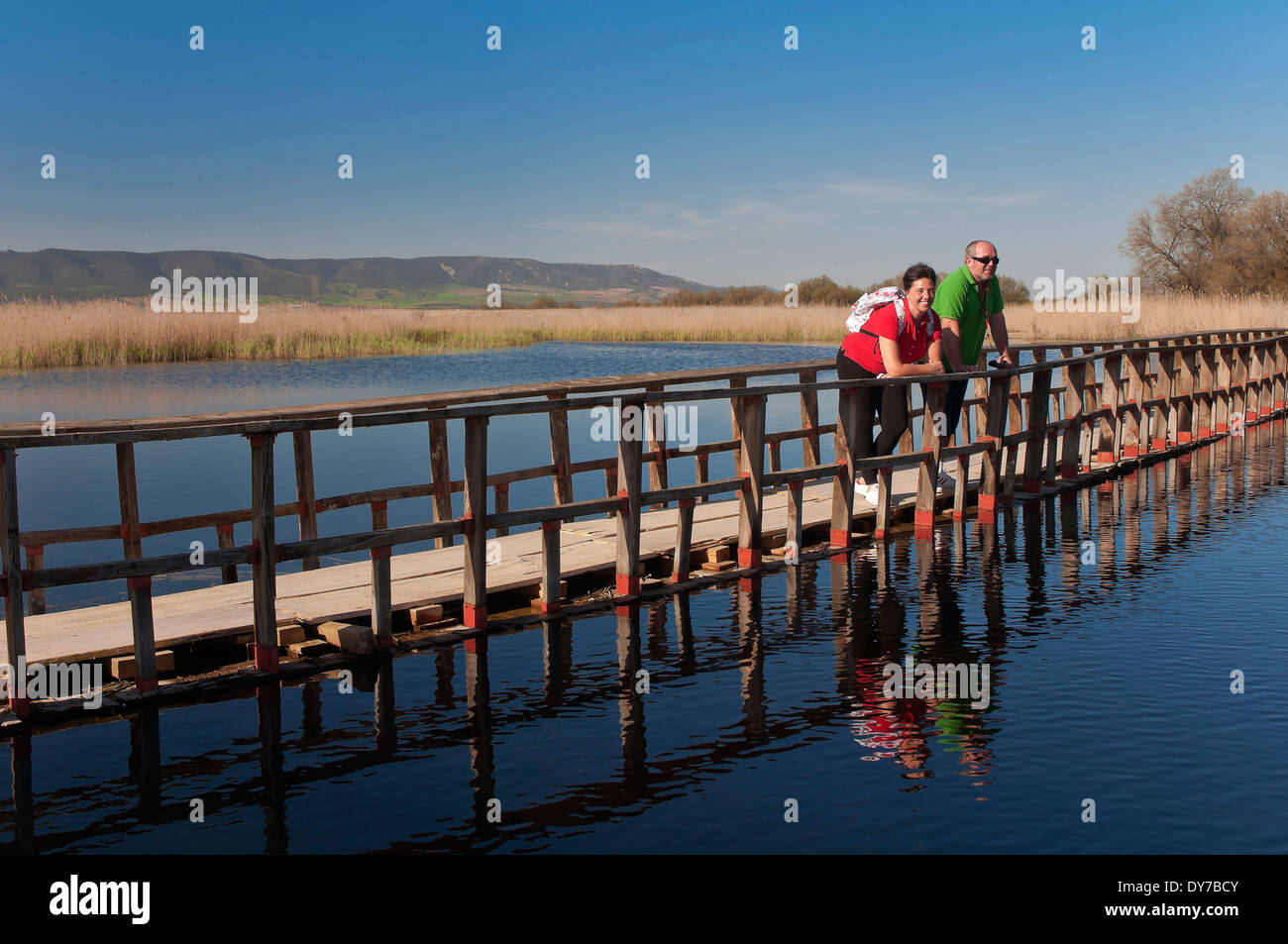 Tablas de Daimiel National Park wetland and boardwalk, Ciudad Realprovince, Region of