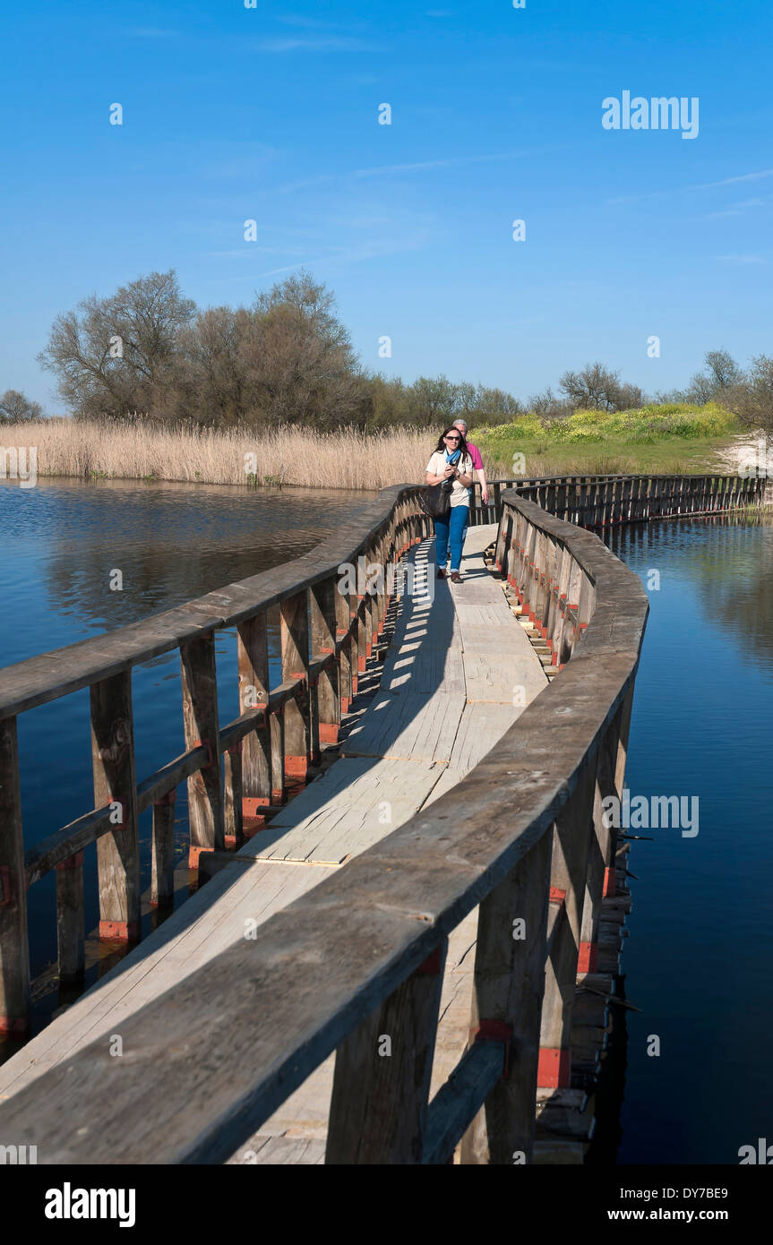 Tablas de Daimiel National Park wetland and boardwalk, Ciudad Realprovince, Region of