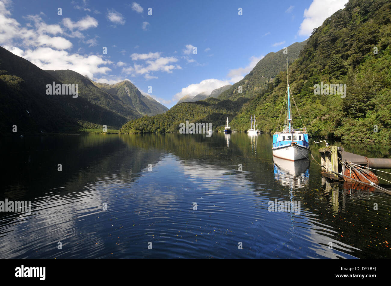 Boats at Doubtful Sound, the largest fiord of Fiordland National Park , South Island, New Zealand Stock Photo