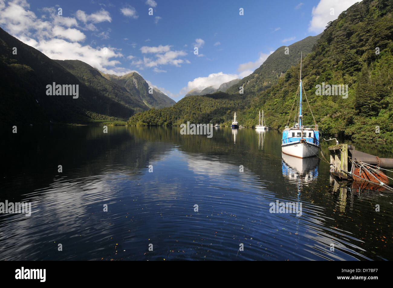 Boats at Doubtful Sound, the largest fjord of Fiordland National Park , South Island, New Zealand Stock Photo