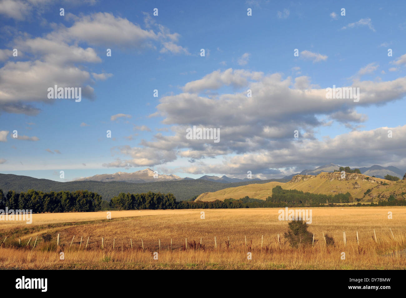 Farm field close to Te Anau, South Island, New Zealand Stock Photo
