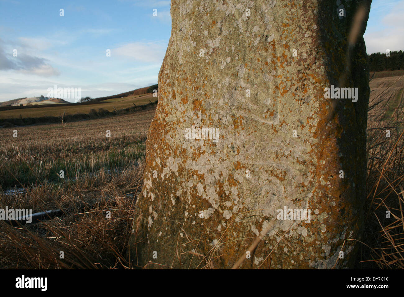 Bruceton Pictish Stone Stock Photo