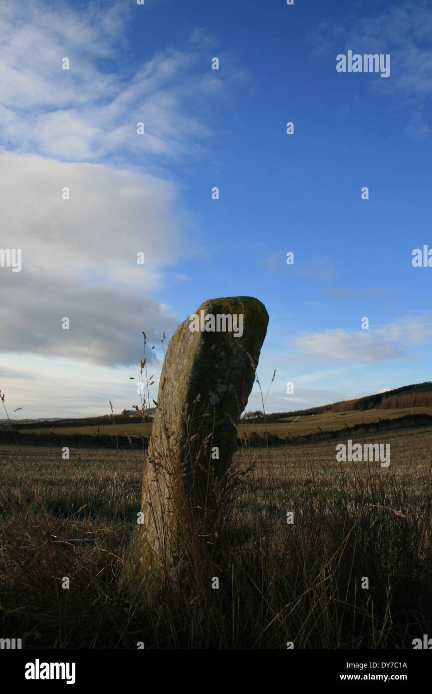 Bruceton Pictish Stone Stock Photo