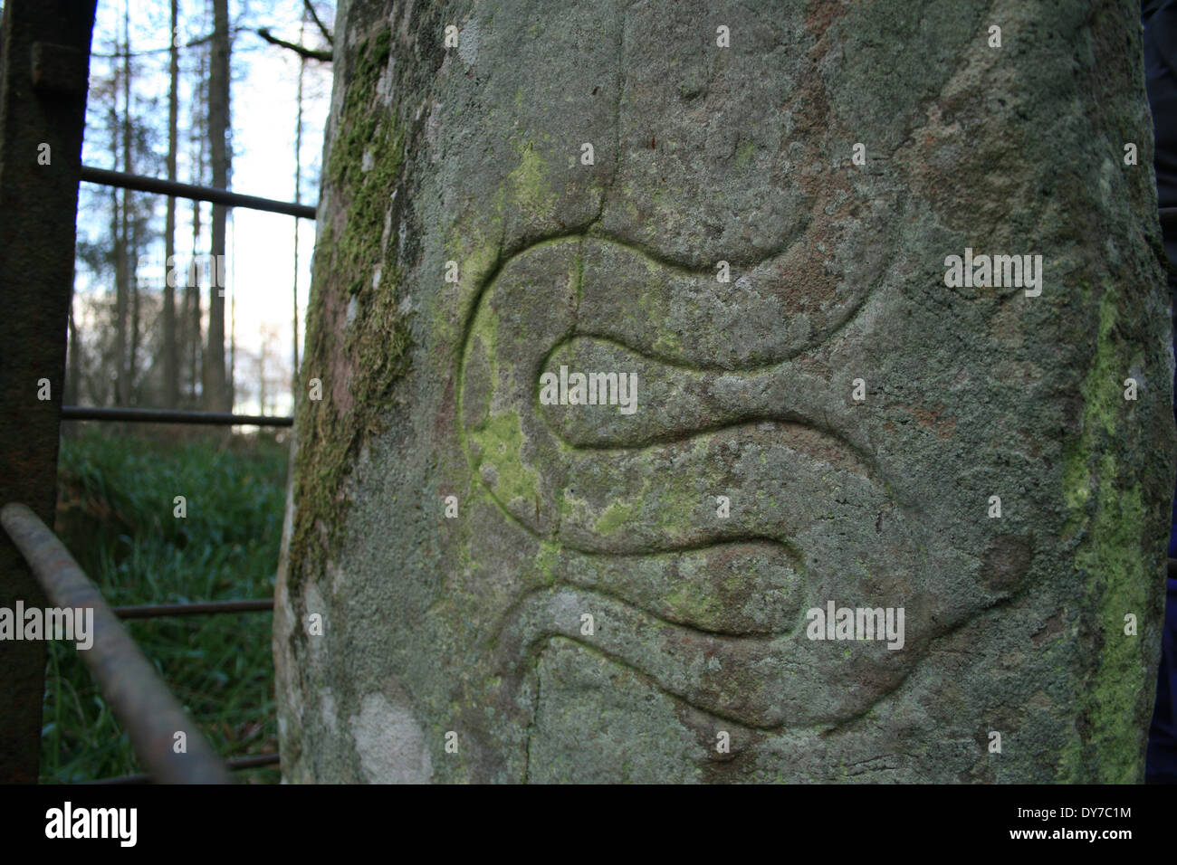 Pictish Serpent Stock Photo