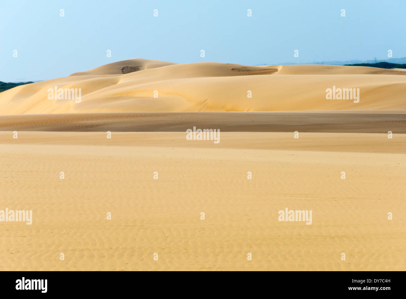 Sand dunes, Medanos de Coro National Park, near Coro, Falcon State, Venezuela Stock Photo