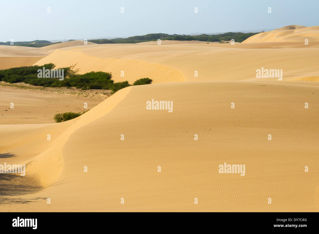 Sand dunes, Medanos de Coro National Park, near Coro, Falcon State, Venezuela Stock Photo