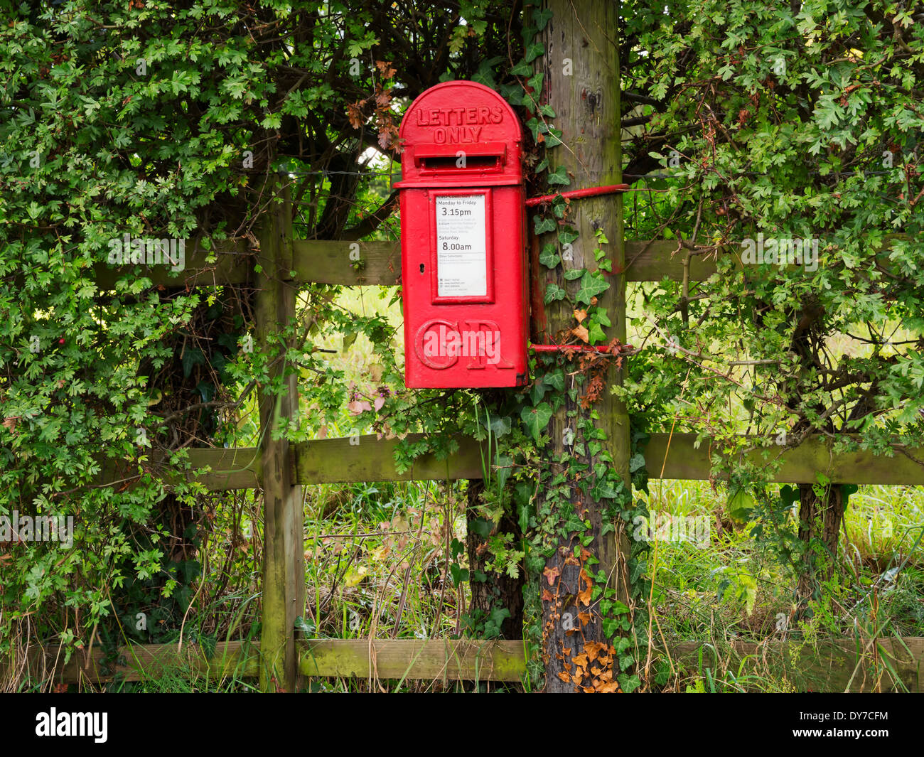 Letterbox in a hedge on an old fence in rural Surrey. Early lamp box style from the reign of George V. Stock Photo