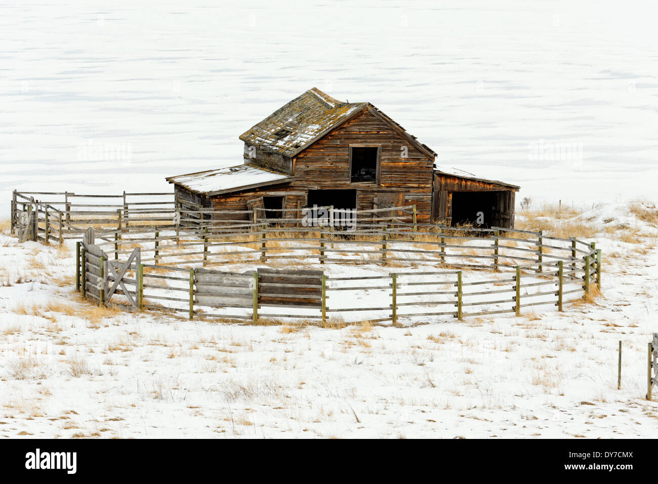 41,674.04207 old rustic ranch barn and round pole fence corral snowy snow cold winter landscape BC Canada Stock Photo