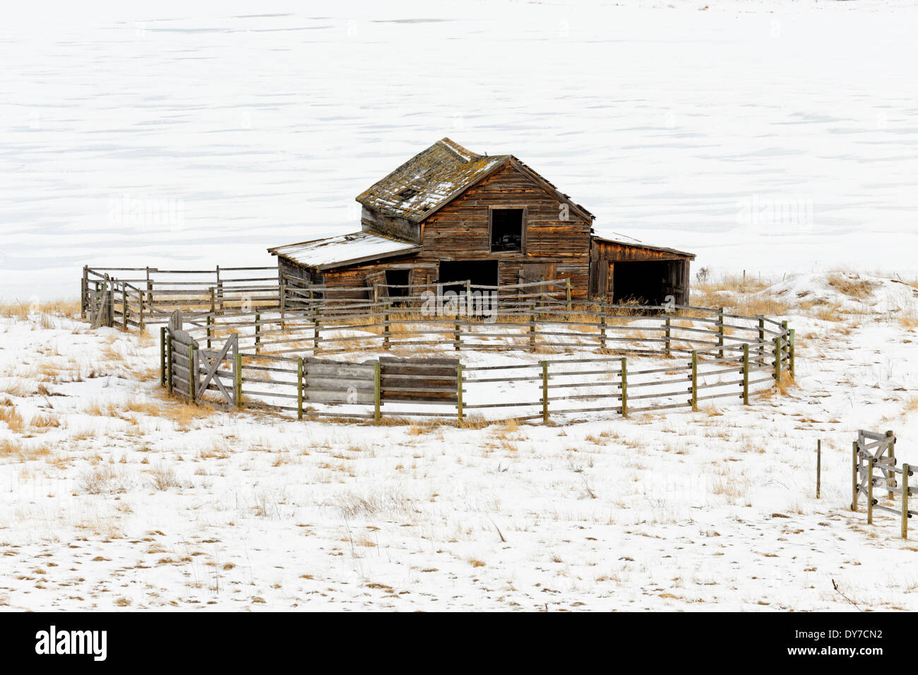 41,674.04209 old rustic ranch barn and round pole fence corral snowy snow cold winter landscape BC Canada Stock Photo