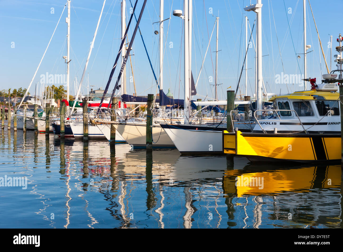 Sailboats and other pleasure craft docked at the Annapolis Yacht Club
