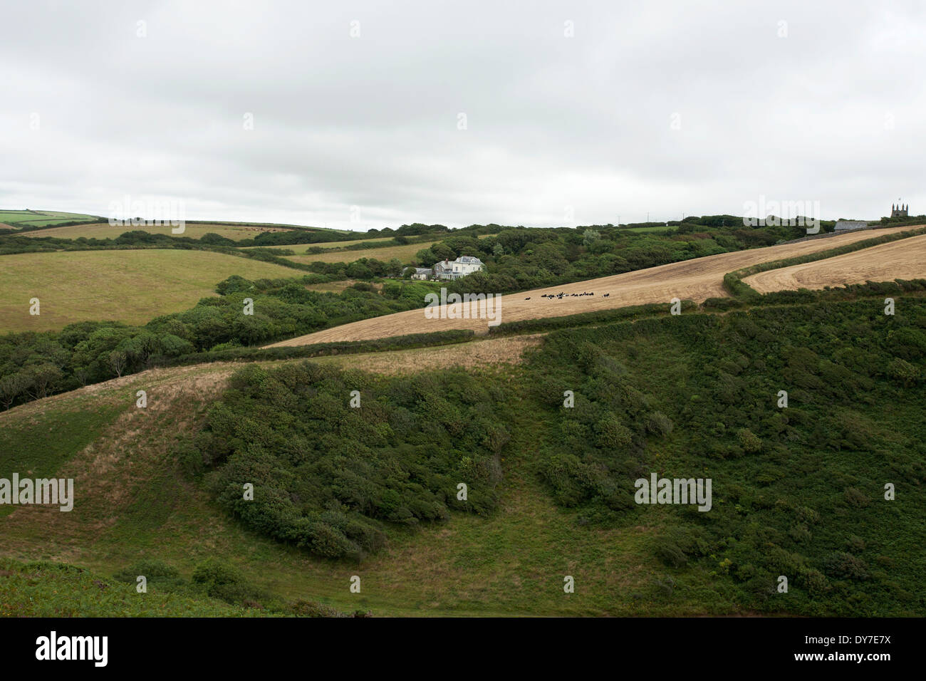 Farmland in North Cornwall Stock Photo Alamy