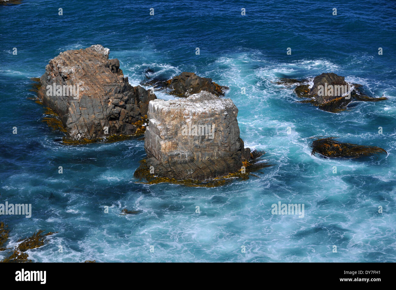 Coast at Nugget Point Lighthouse trail, Catlins Coast, South island ...