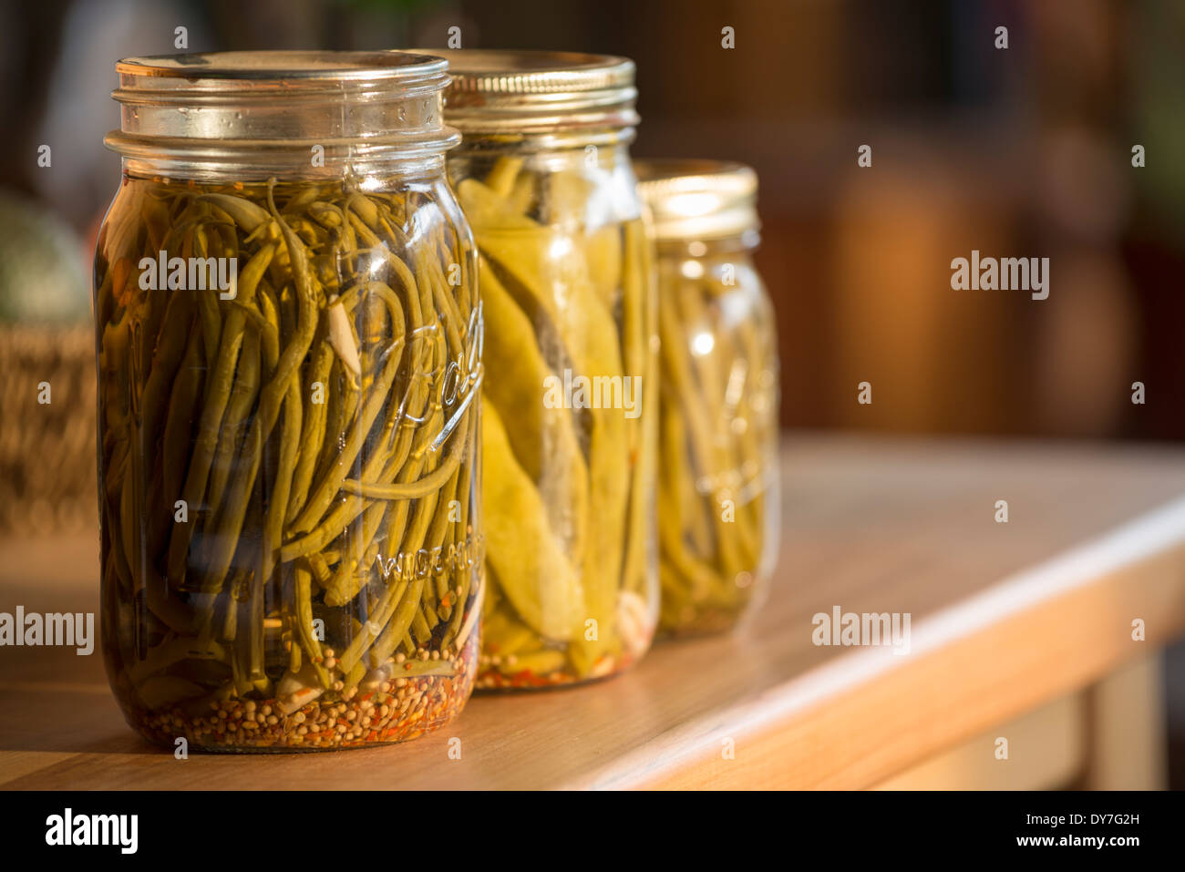 Jars of pickled green beans, also known as dilly beans Stock Photo Alamy