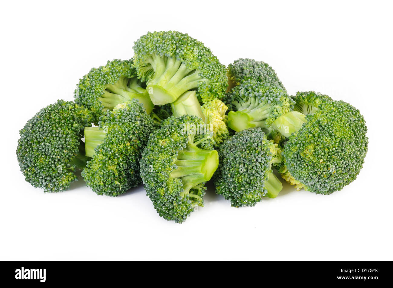 Broccoli vegetable isolated on white background Stock Photo