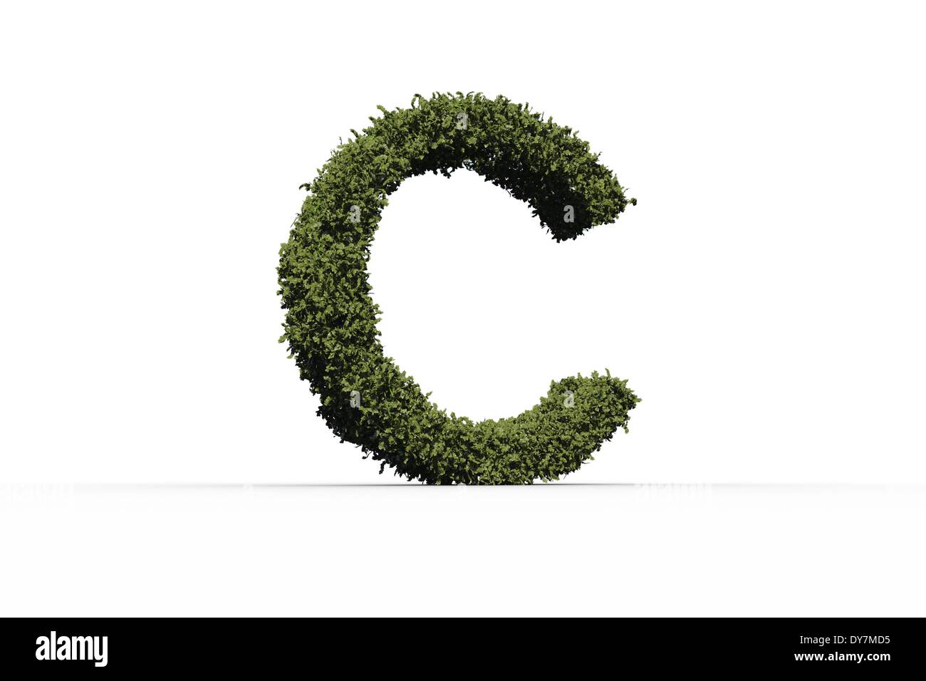 Capital letter c made of leaves Stock Photo