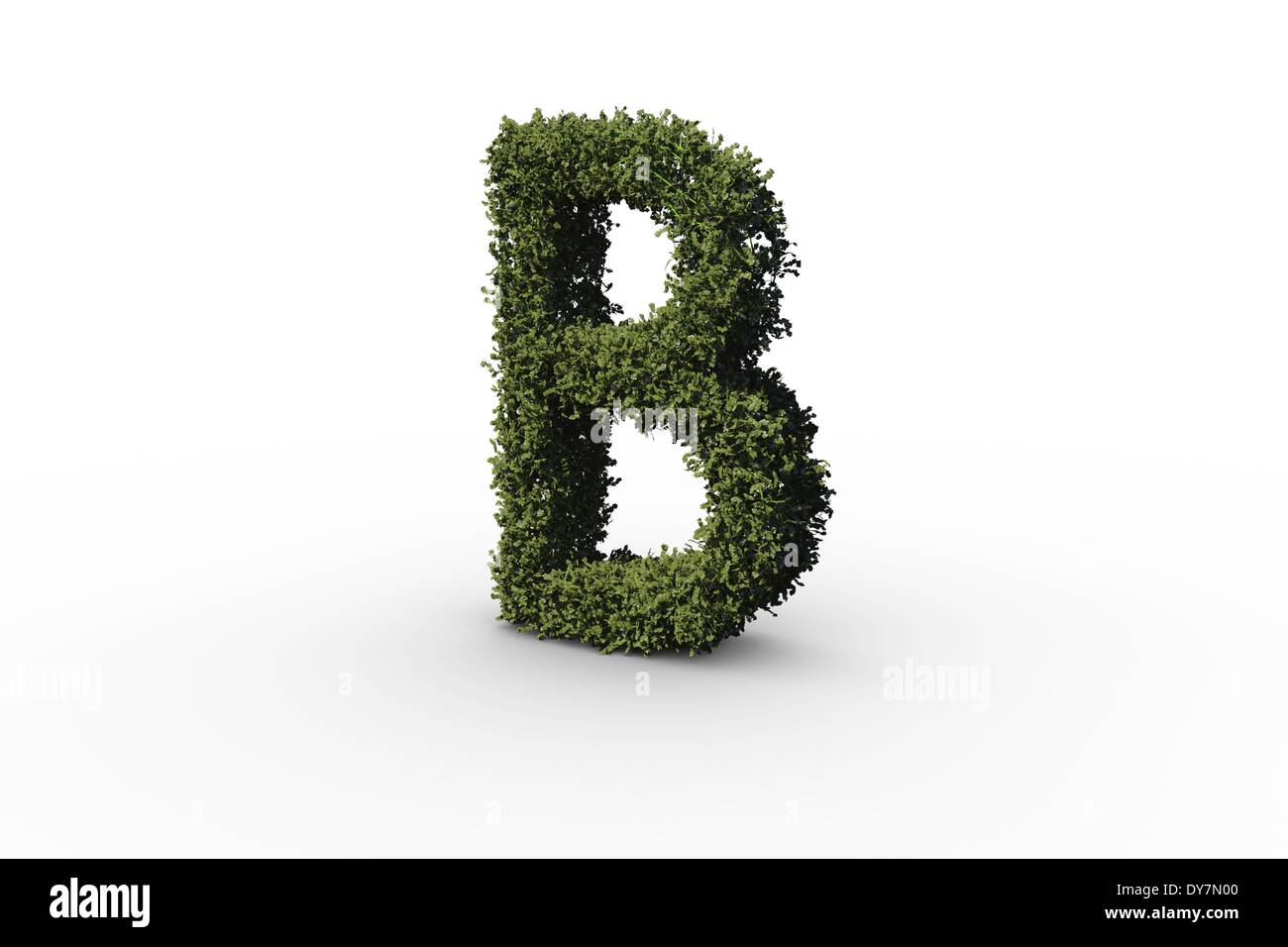 Capital letter b made of leaves Stock Photo