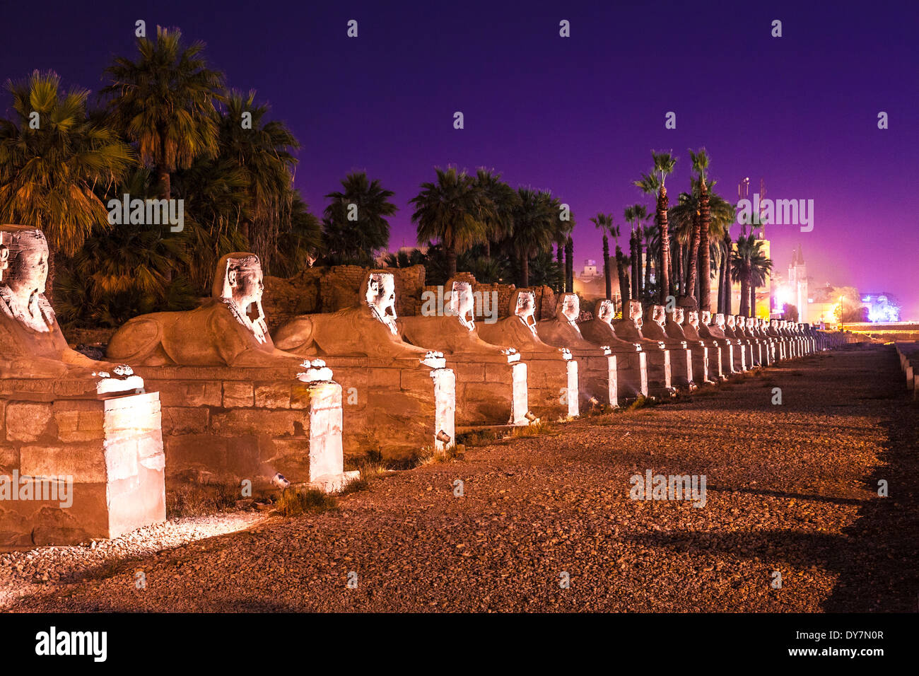 Part of the avenue of ram-headed sphinxes that leads to the entrance to the Temple of Amun at Karnak. Stock Photo