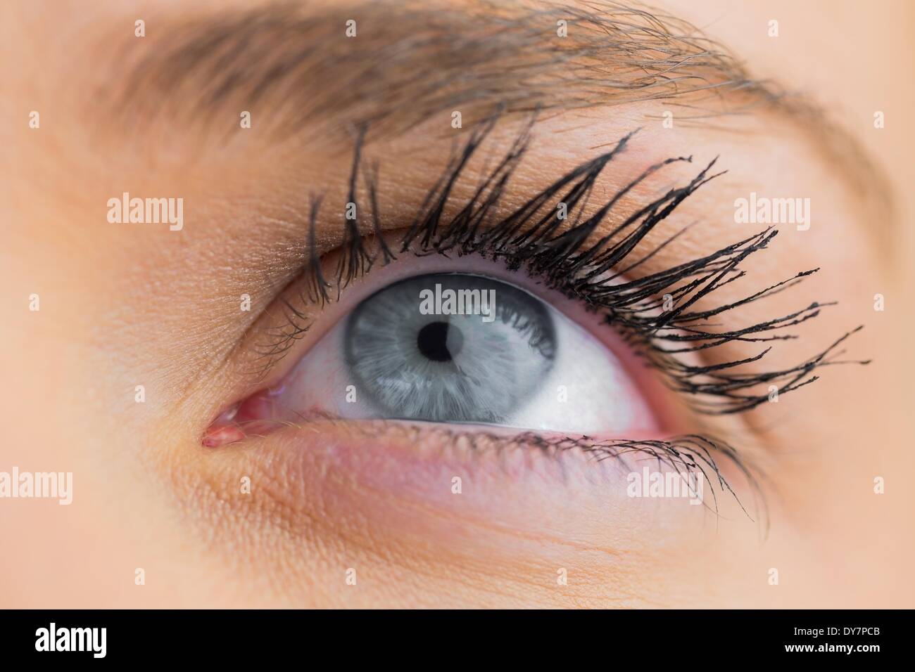 Female blue eye close up hi-res stock photography and images - Alamy