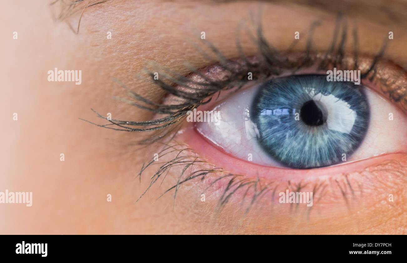 Beautiful female blue eyes close up hi-res stock photography and images ...