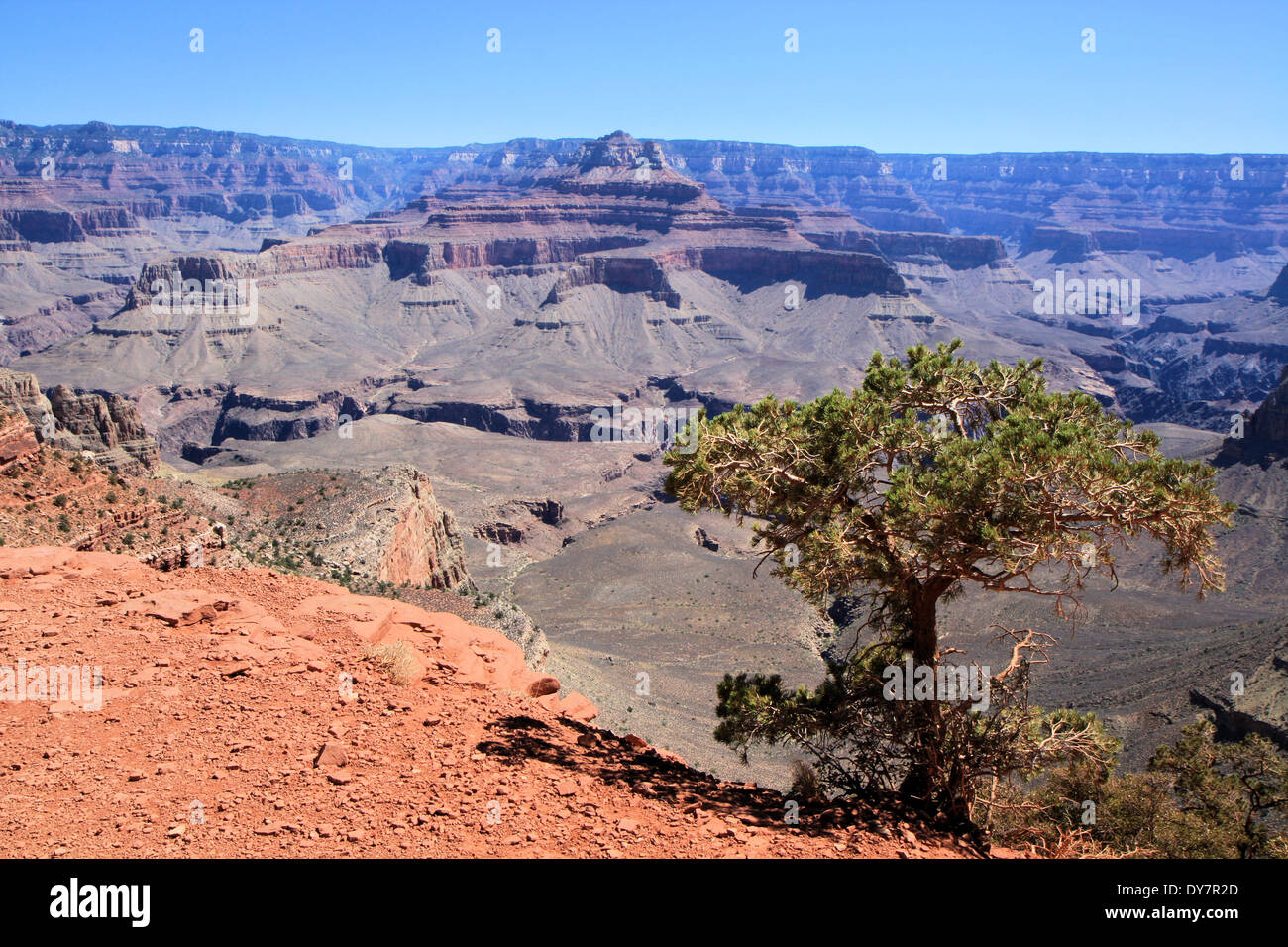 Grand canyon National Park from south rim, Arizona, USA Stock Photo