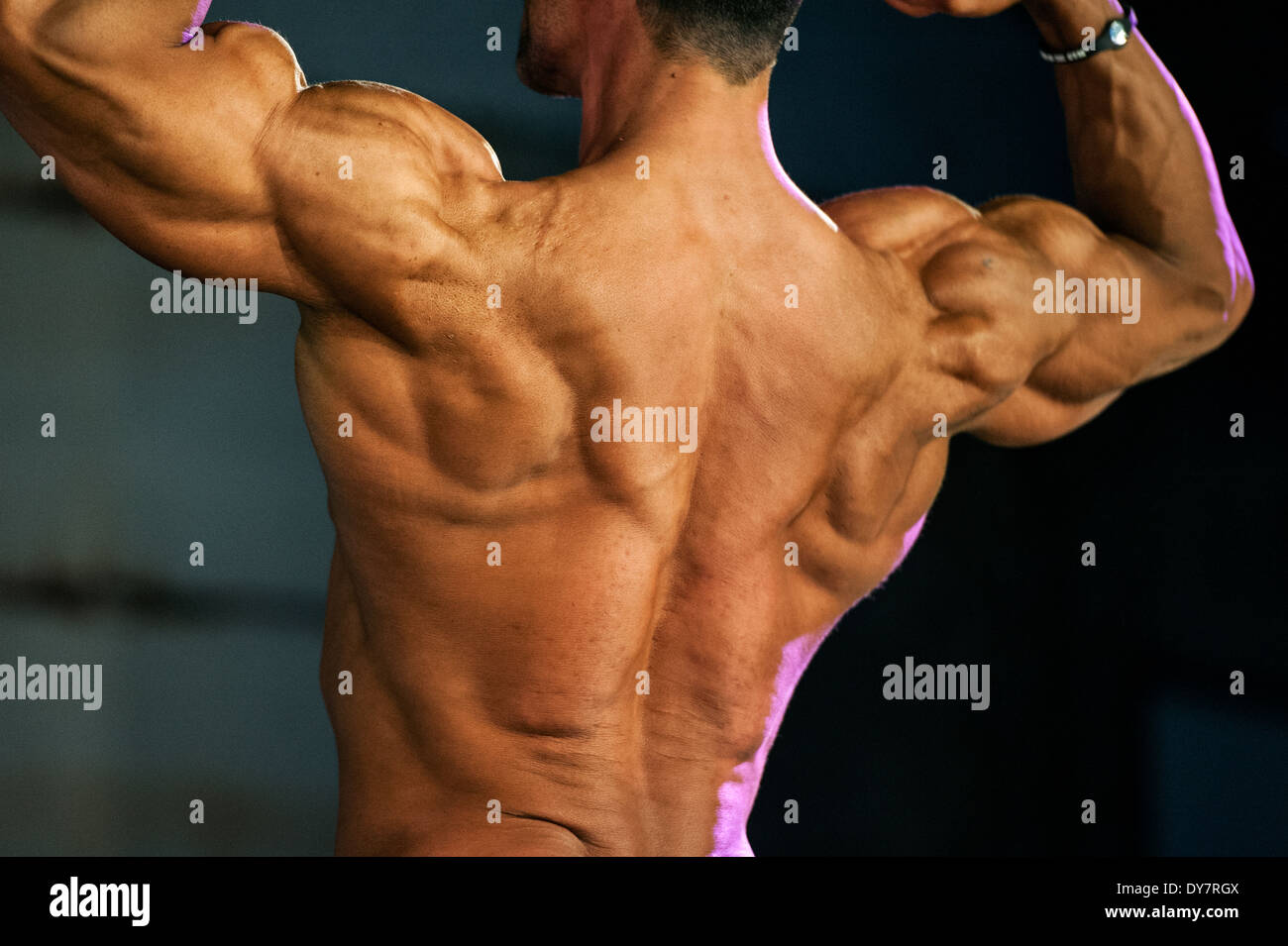 Detail of a male bodybuilder during the fitness fair FIBO in Cologne, Germany, 2014. Stock Photo