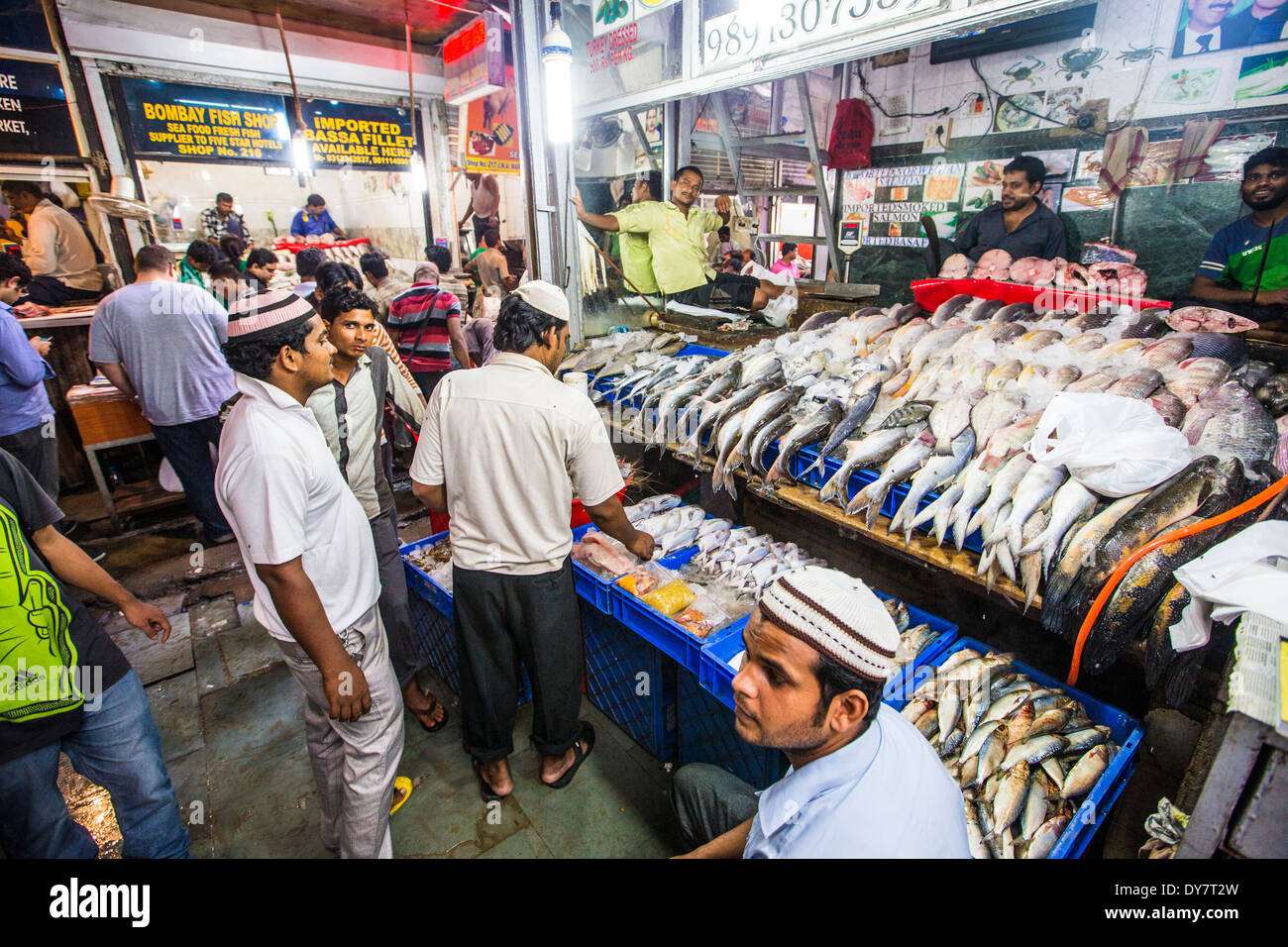 Fish shop in INA market, Delhi, India Stock Photo