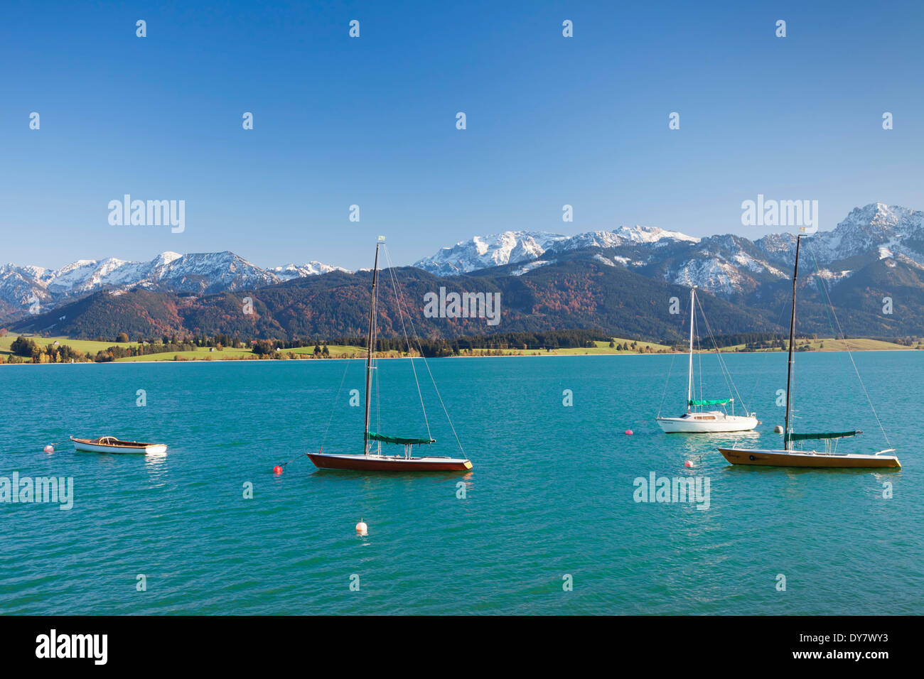 Behind the forggensee hi-res stock photography and images - Alamy