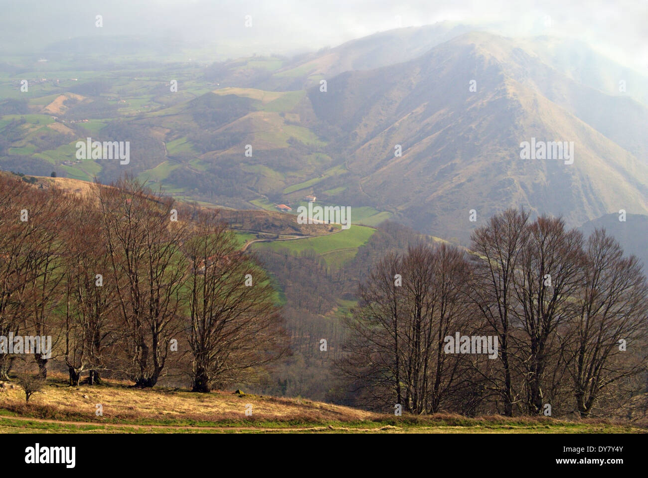 On the Camino De Santiago De Compostella Stock Photo