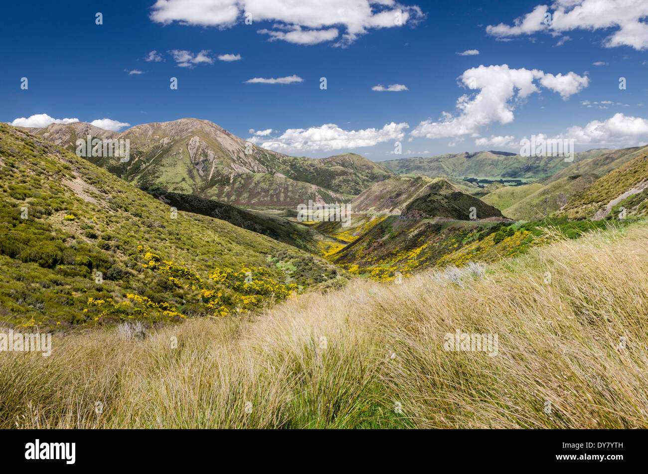 Mountains and grasslands, Craigieburn Range, Porters Pass, Canterbury Region, South Island, New Zealand Stock Photo
