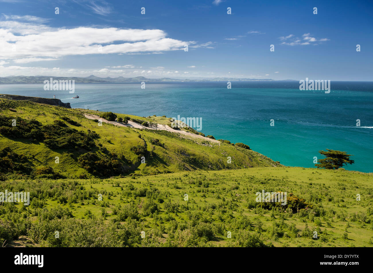 Green pasture land, coast and turquoise blue sea, Otago region, South Island, New Zealand Stock Photo