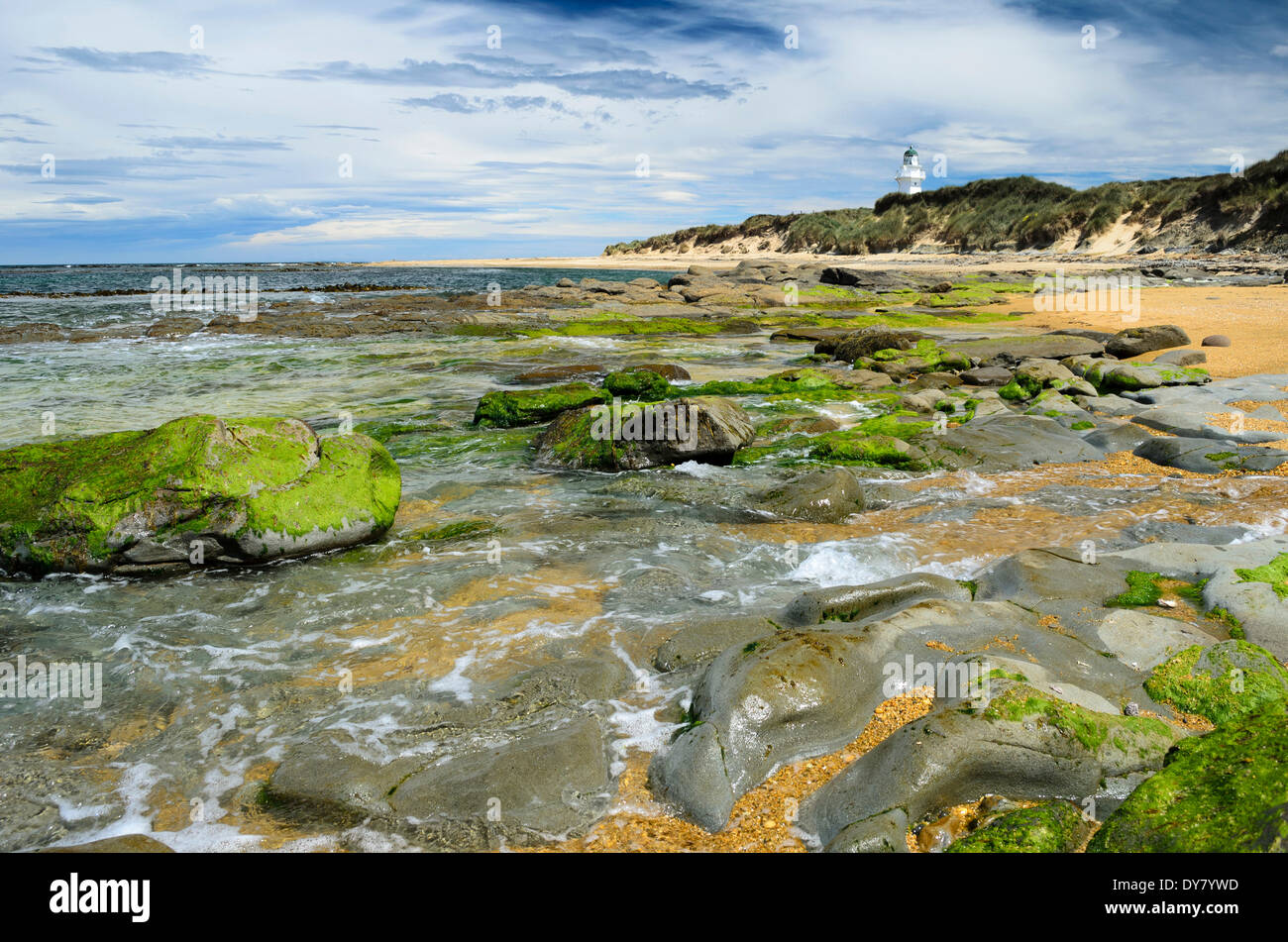 Lighthouse at Waipapa Point with clouds in the sky, algae covered rocks at the front, Otara, Fortrose, Southland Region Stock Photo