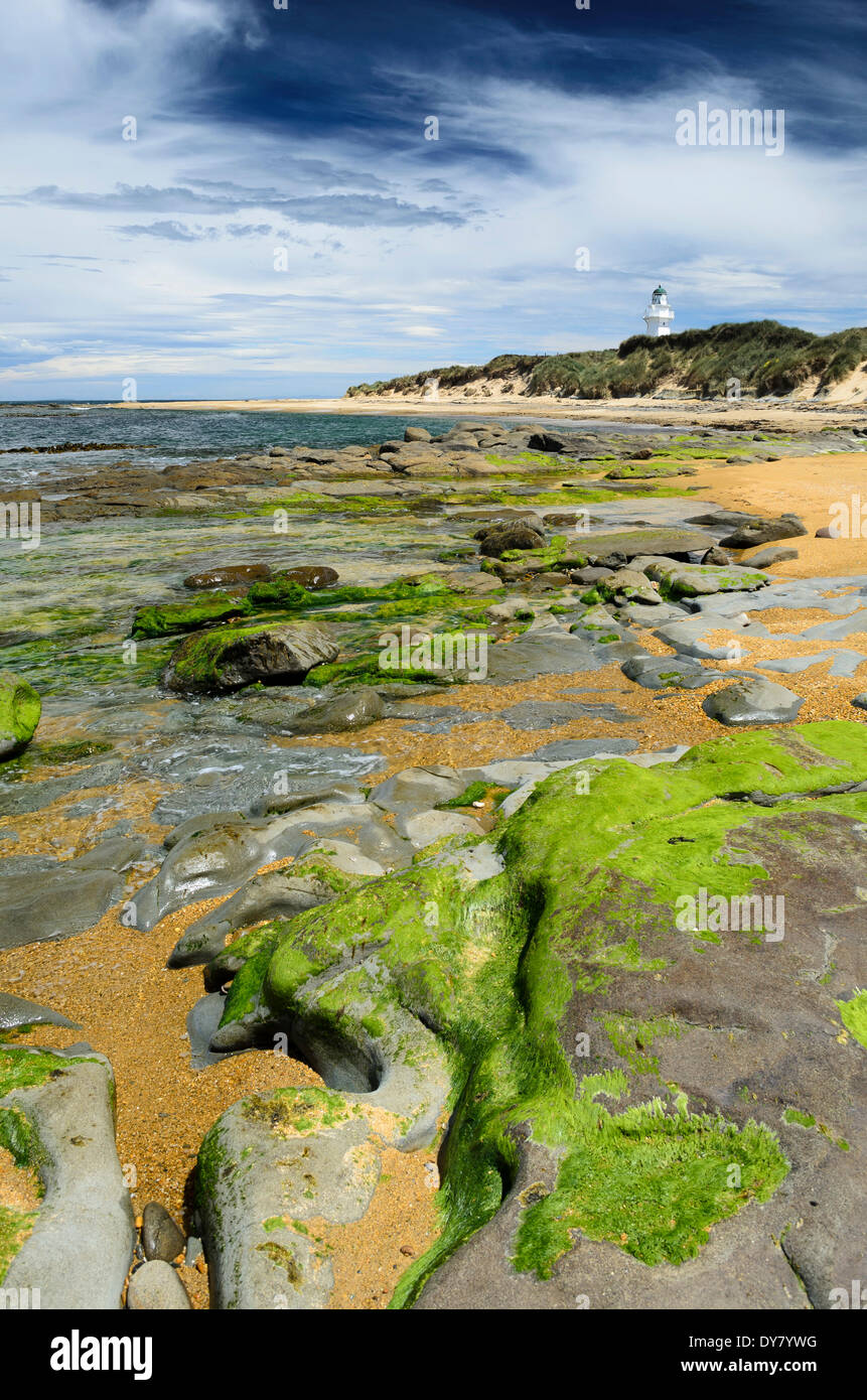 Lighthouse at Waipapa Point with clouds in the sky, algae covered rocks at the front, Otara, Fortrose, Southland Region Stock Photo