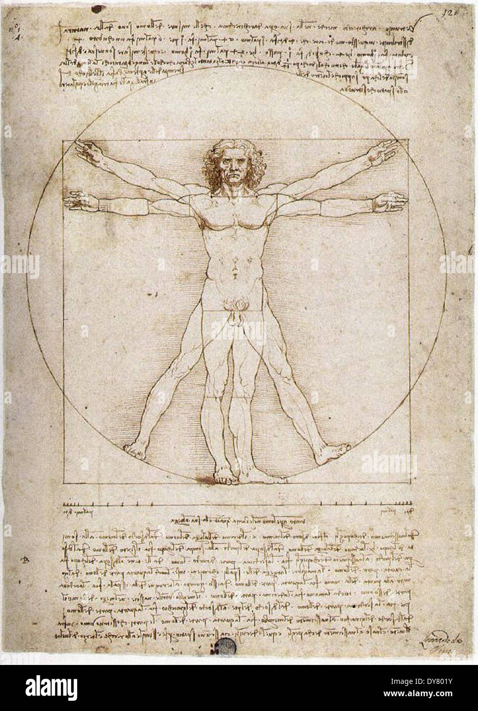 Leonardo da Vinci The Vitruvian Man Stock Photo