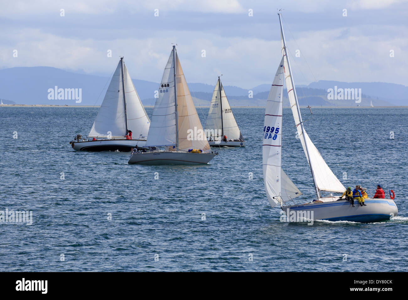 Sailing yachts in a close race near Sidney, Vancouver Island, Canada Stock Photo