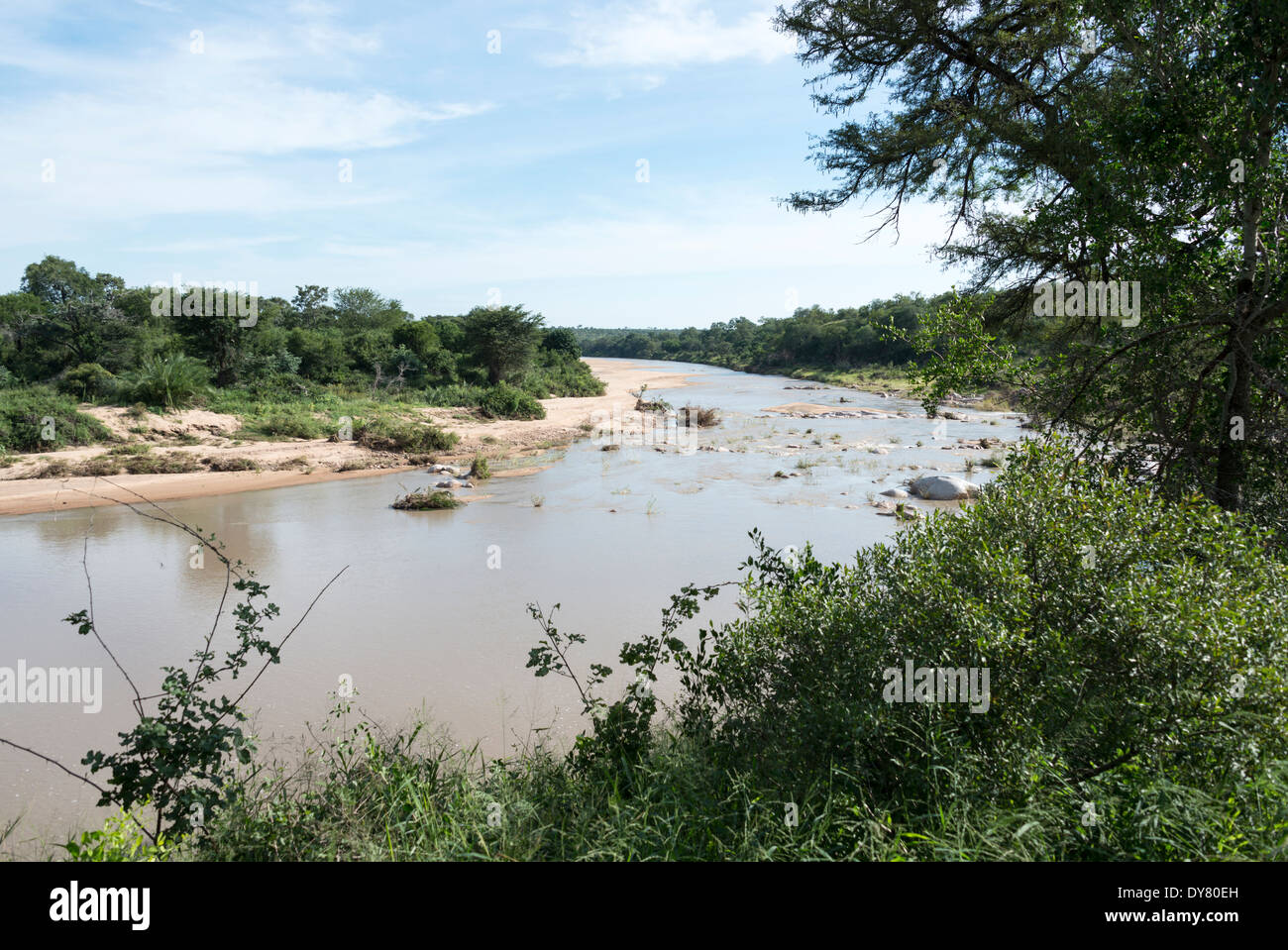 elephant river in kruger national park south africa Stock Photo