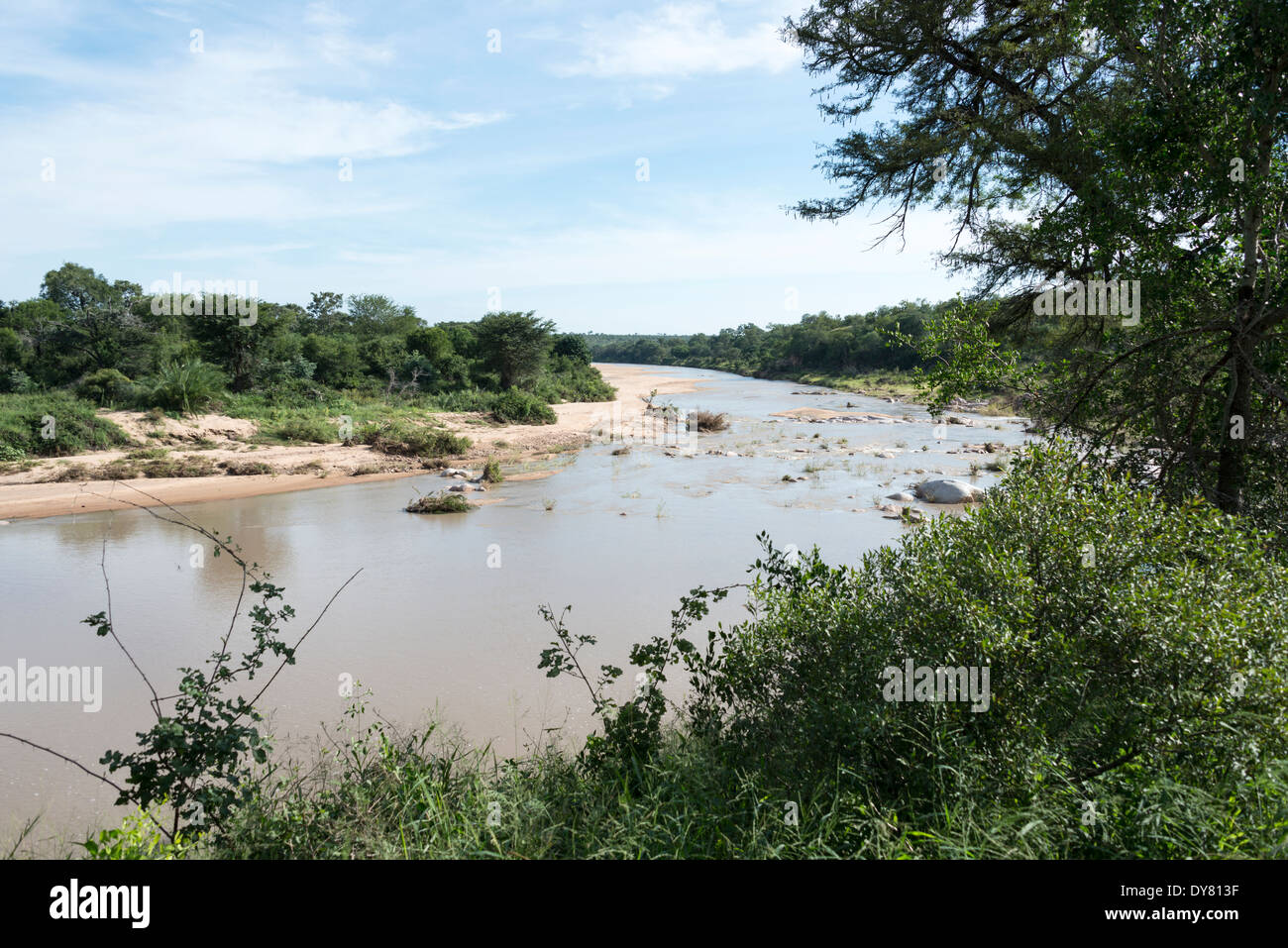 elephant river in kruger national park south africa Stock Photo