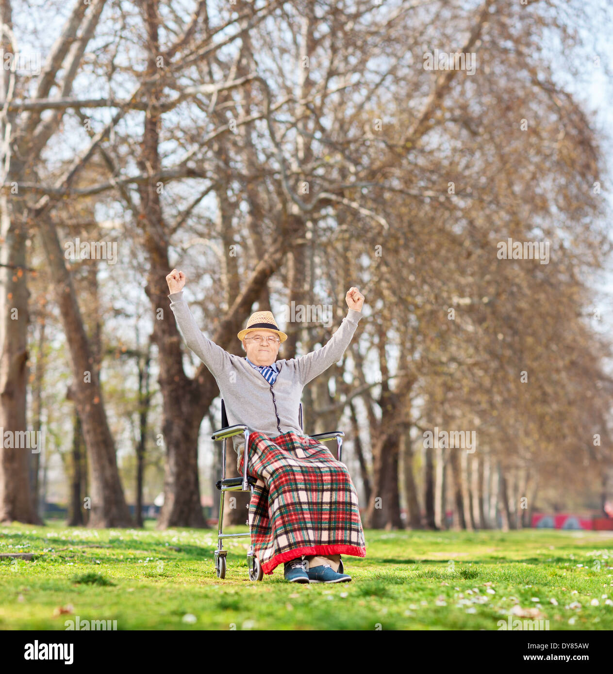 Senior in wheelchair gesturing happiness in park Stock Photo