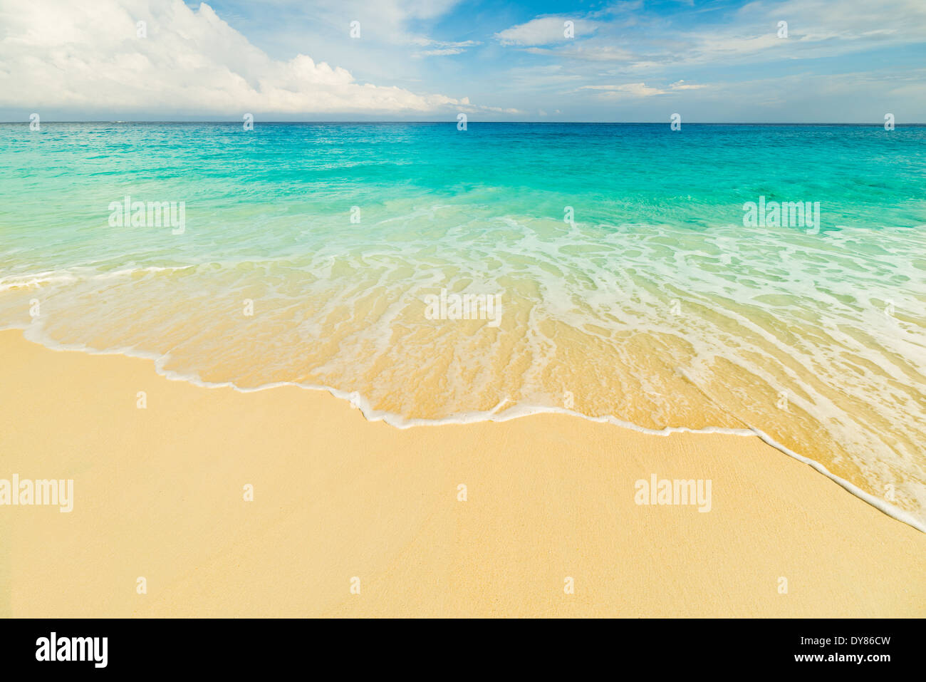 tropical beach with turquoise water Stock Photo
