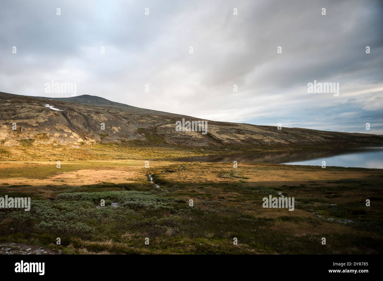 Rondane National Park, Norway Stock Photo