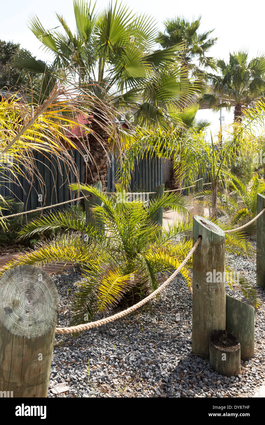 Fast Food Tree Tree landscaping hi-res stock photography and images - Alamy