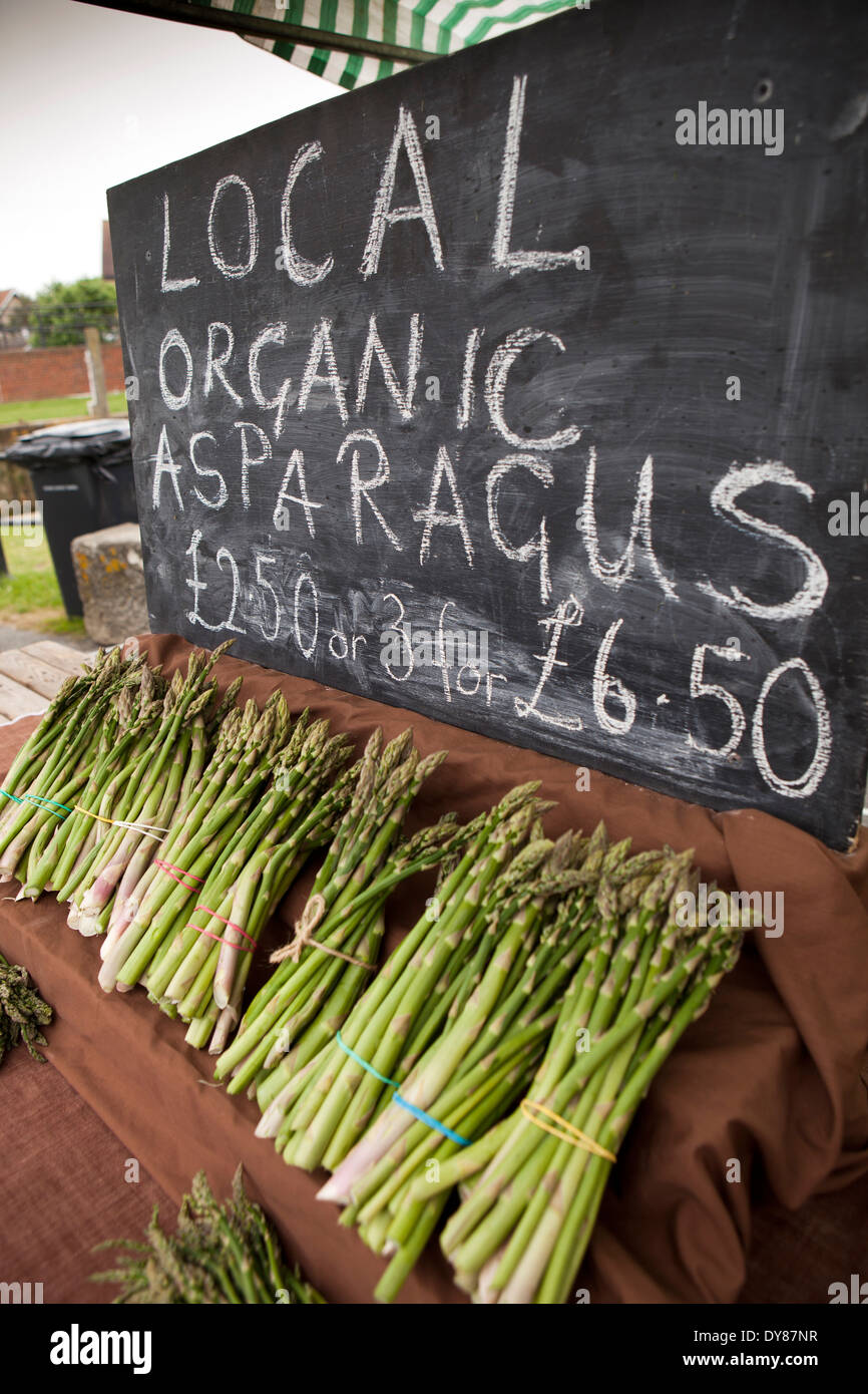 UK, England, East Sussex, Rye, Strand Quay, weekly farmer’s market, fresh local organic asparagus for sale Stock Photo